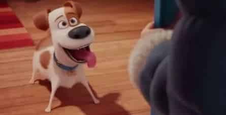 Тайная жизнь собак кадры