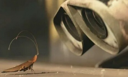 Таракан-робот кадры