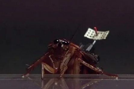 Таракан-робот кадры