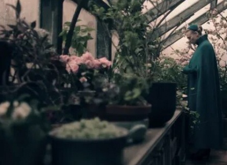 Тепличные истории кадры Тепличные истории кадры