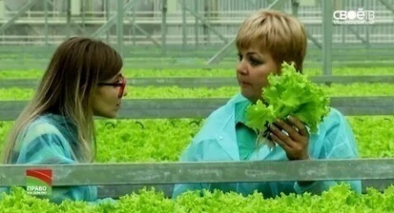 Тепличные истории кадры Тепличные истории кадры