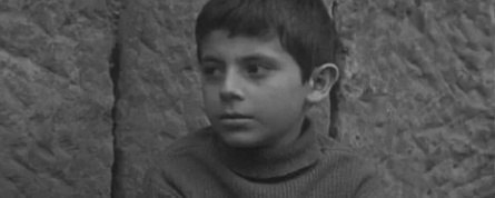 Терпкий виноград кадры