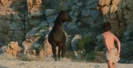 The Adventures of Black Stallion кадры The Adventures of Black Stallion кадры