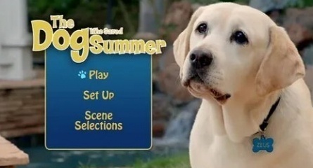 The Dog Who Saved Summer кадры The Dog Who Saved Summer кадры