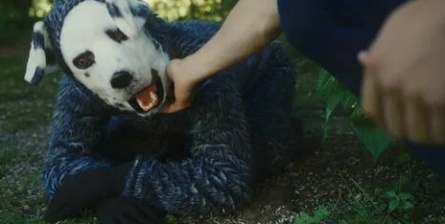 ТОП-10 фильмов про настоящих друзей человека собак кадры