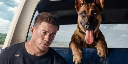 ТОП-10 фильмов про настоящих друзей человека собак кадры