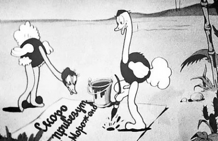 В Африке жарко кадры