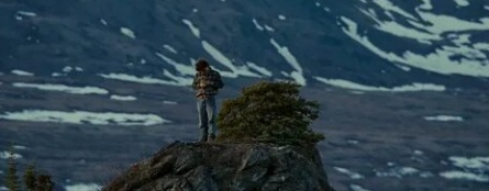 В диких условиях кадры