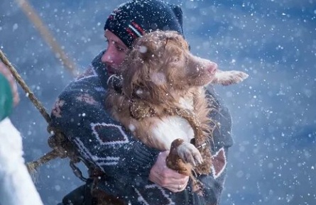 В ледяном плену кадры