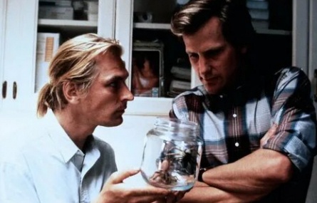 В паутине страха кадры