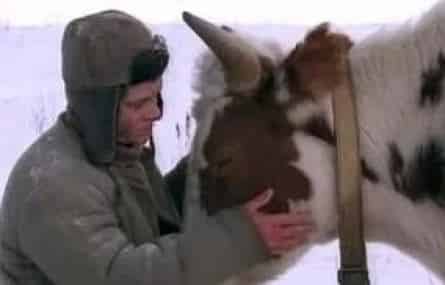 В созвездии быка кадры