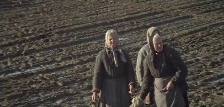 Василий и Василиса кадры
