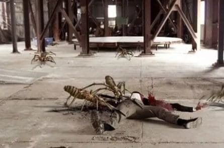 Верблюжьи пауки кадры