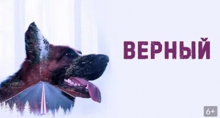 Верный кадры