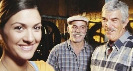 Ветка маслин кадры Ветка маслин кадры