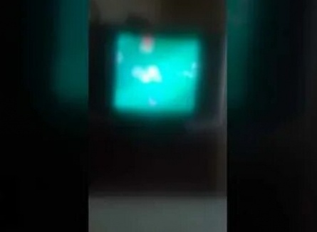 Вот так тигр! кадры Вот так тигр! кадры
