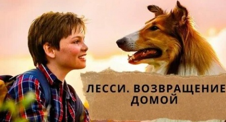 Возращайся домой, Лесси кадры Возращайся домой, Лесси кадры
