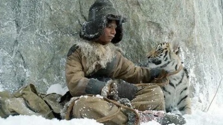 Вперед тигры кадры