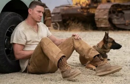 Во всем мире знают, что Хаски - настоящие герои: лучшие фильмы о безупречных псах в истории кинематографа кадры