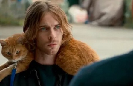 Всем по котику кадры