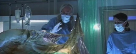 Вскрытие пришельца кадры