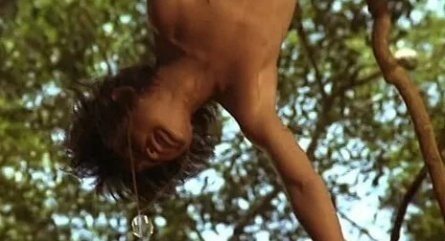 Вторая книга джунглей. Маугли и Балу кадры