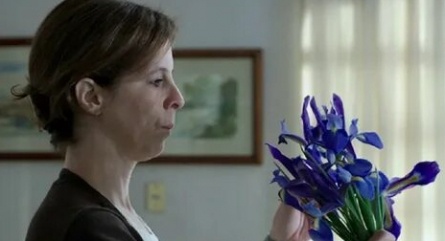 Wildflowers кадры