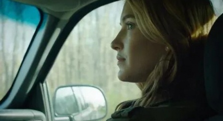 Wildflowers кадры