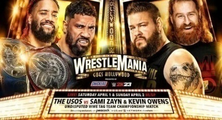 WWE РестлМания 29 кадры WWE РестлМания 29 кадры