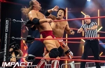 WWE Зал славы 2004 кадры