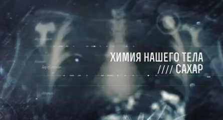 Химия нашего тела Гормоны кадры Химия нашего тела Гормоны кадры