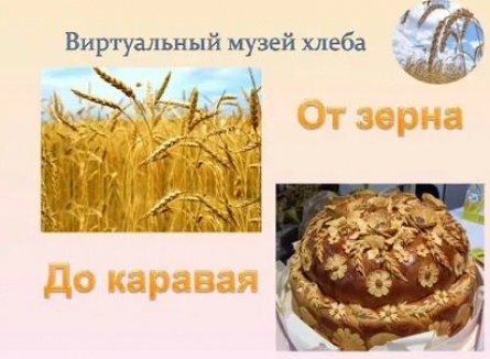 Хлеб от зерна до каравая кадры