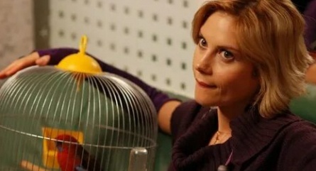 Ёлка, кролик, попугай кадры