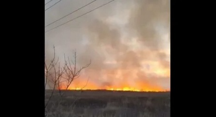 Запах горящей травы кадры Запах горящей травы кадры