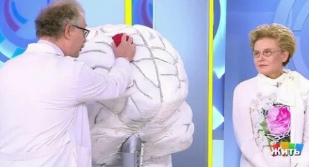 Жасмин и Елена Малышева ведут новое телешоу кадры