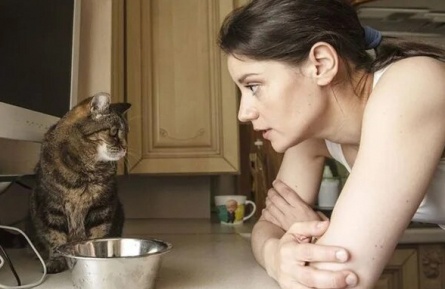 Женщина с котом и детективом кадры Женщина с котом и детективом кадры