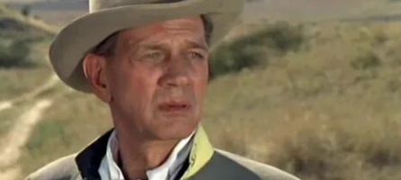 Жестокие кадры