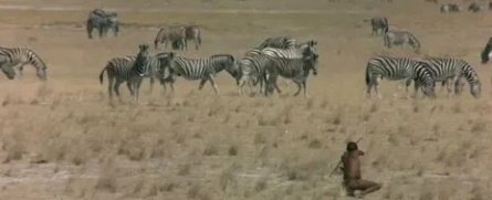 Животные — прекрасные люди кадры