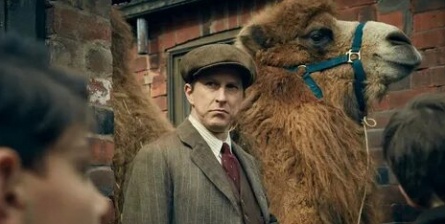 Зоопарк кадры