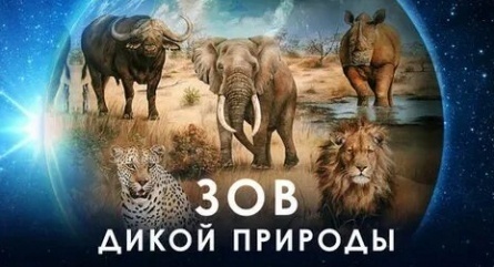 Зов дикой природы кадры