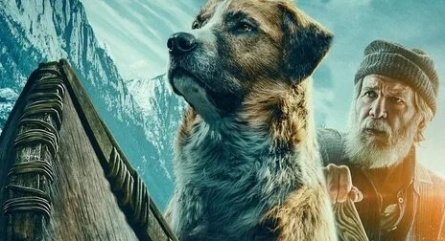 Зов дикой природы кадры