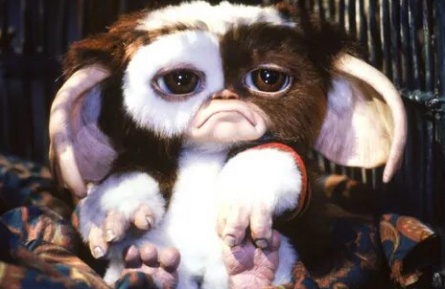 Зверята-работяги кадры