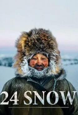 24 снега