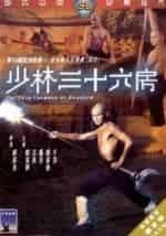 36 ступеней Шаолиня кадр из фильма