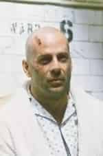 38 обезьян кадр из фильма