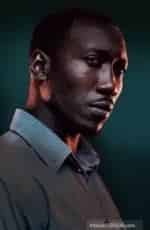 4400. Мы возведем Иерусалим кадр из фильма