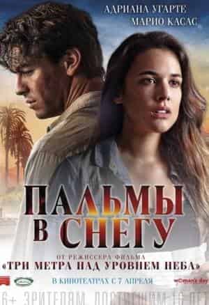 Пальмы в снегу