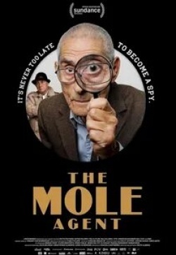 Агент-крот