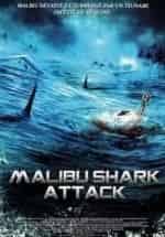 Акула Малибу кадр из фильма