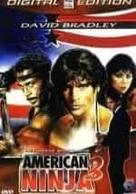 Американский ниндзя. Кровавая охота кадр из фильма
